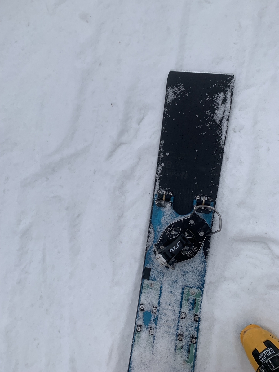 25/26 GRAY QUADRA 185 - アルペンスノーボード試乗日記