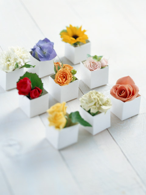 f:id:house-net:20171122111534j:plain f:id:house-net:20171122111534j:plain