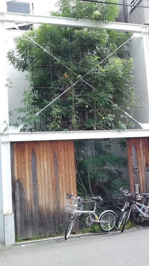 f:id:house-net:20180111175553j:plain