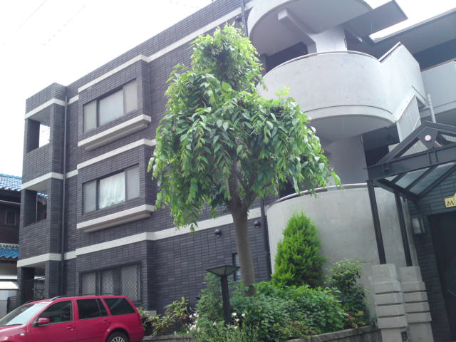 f:id:house-net:20180315211850j:plain