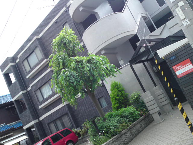 f:id:house-net:20190207120307j:plain