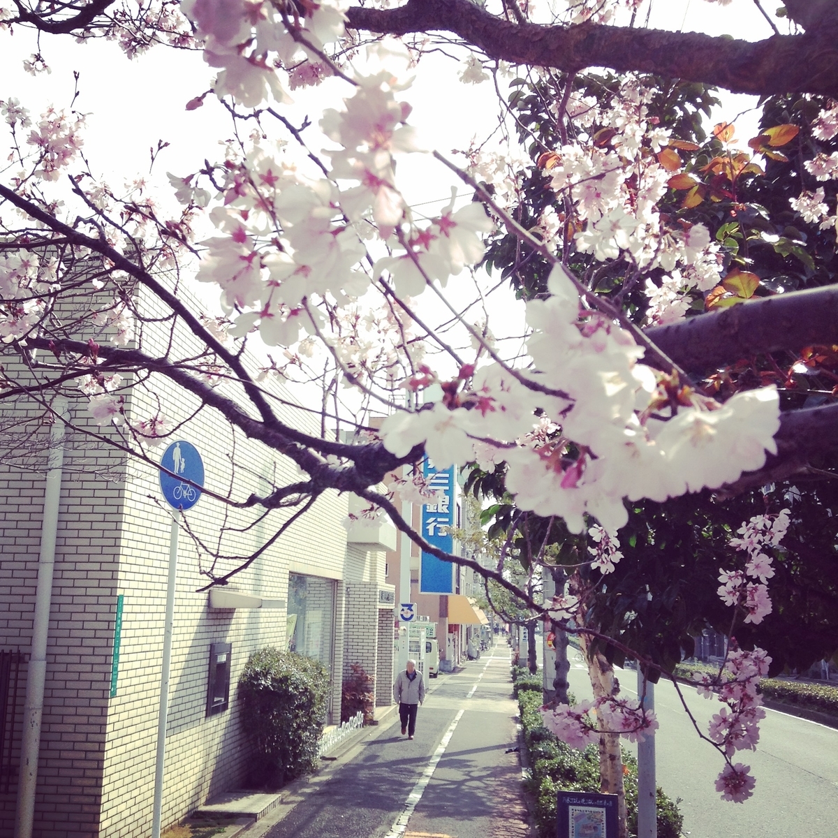 f:id:house-net:20190330210548j:plain f:id:house-net:20190330210548j:plain