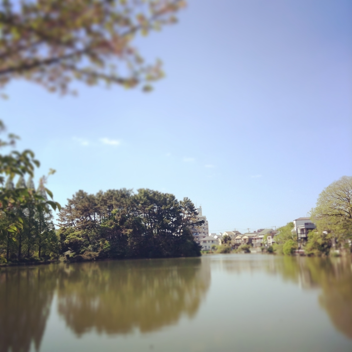 f:id:house-net:20190604032414j:plain