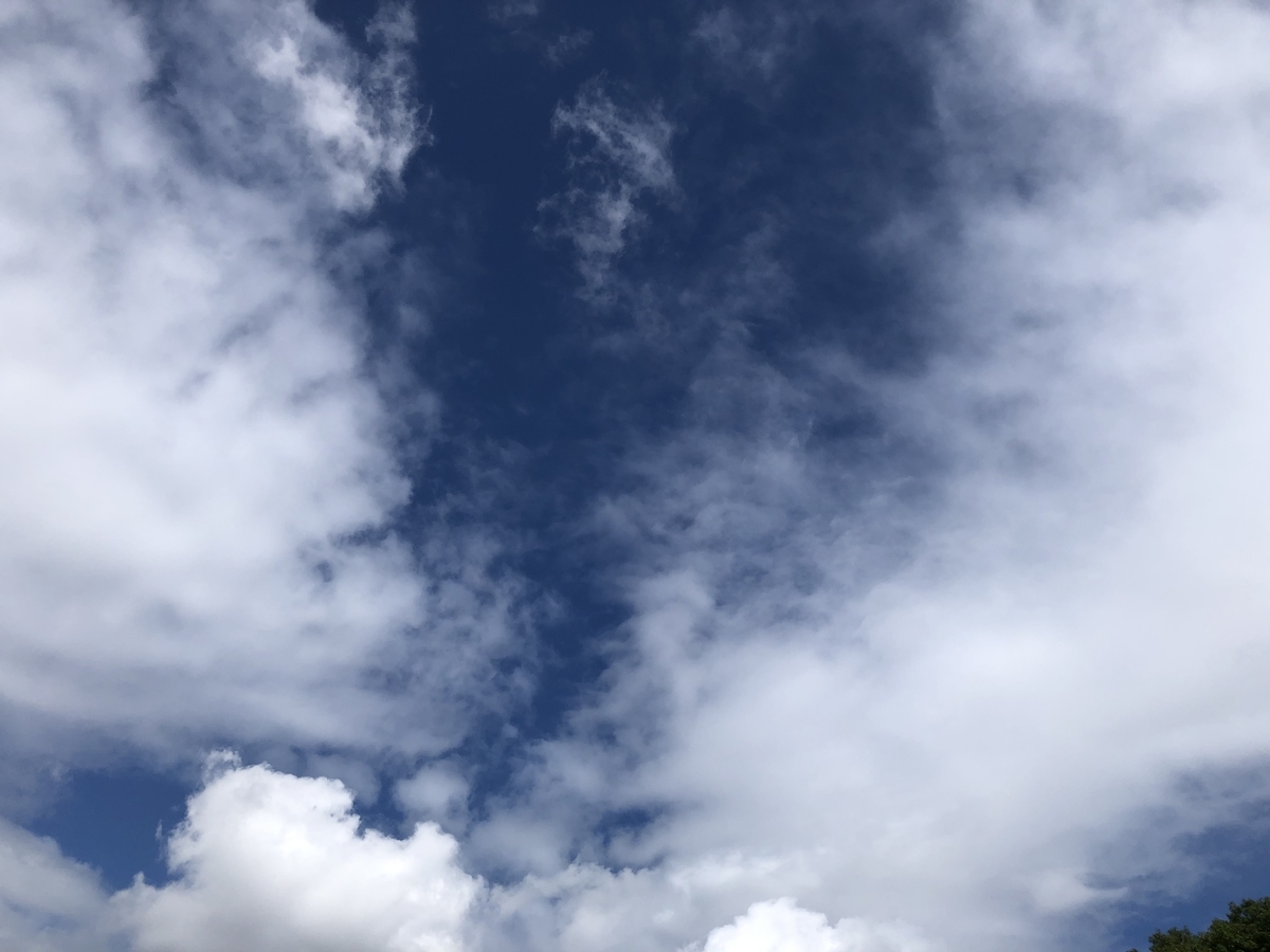 f:id:housfrau:20220103201811j:plain