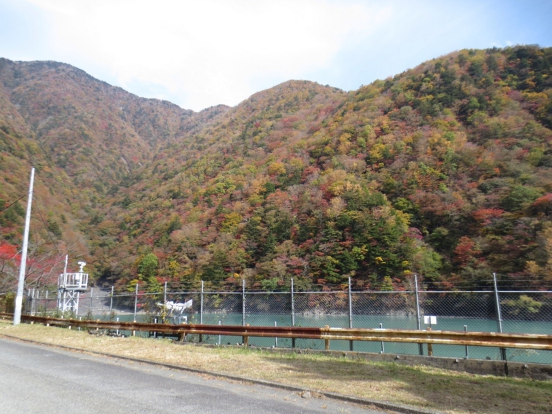 f:id:houshizu:20170119115447j:image