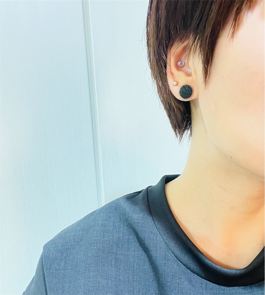 f:id:housmell:20230429204929j:image