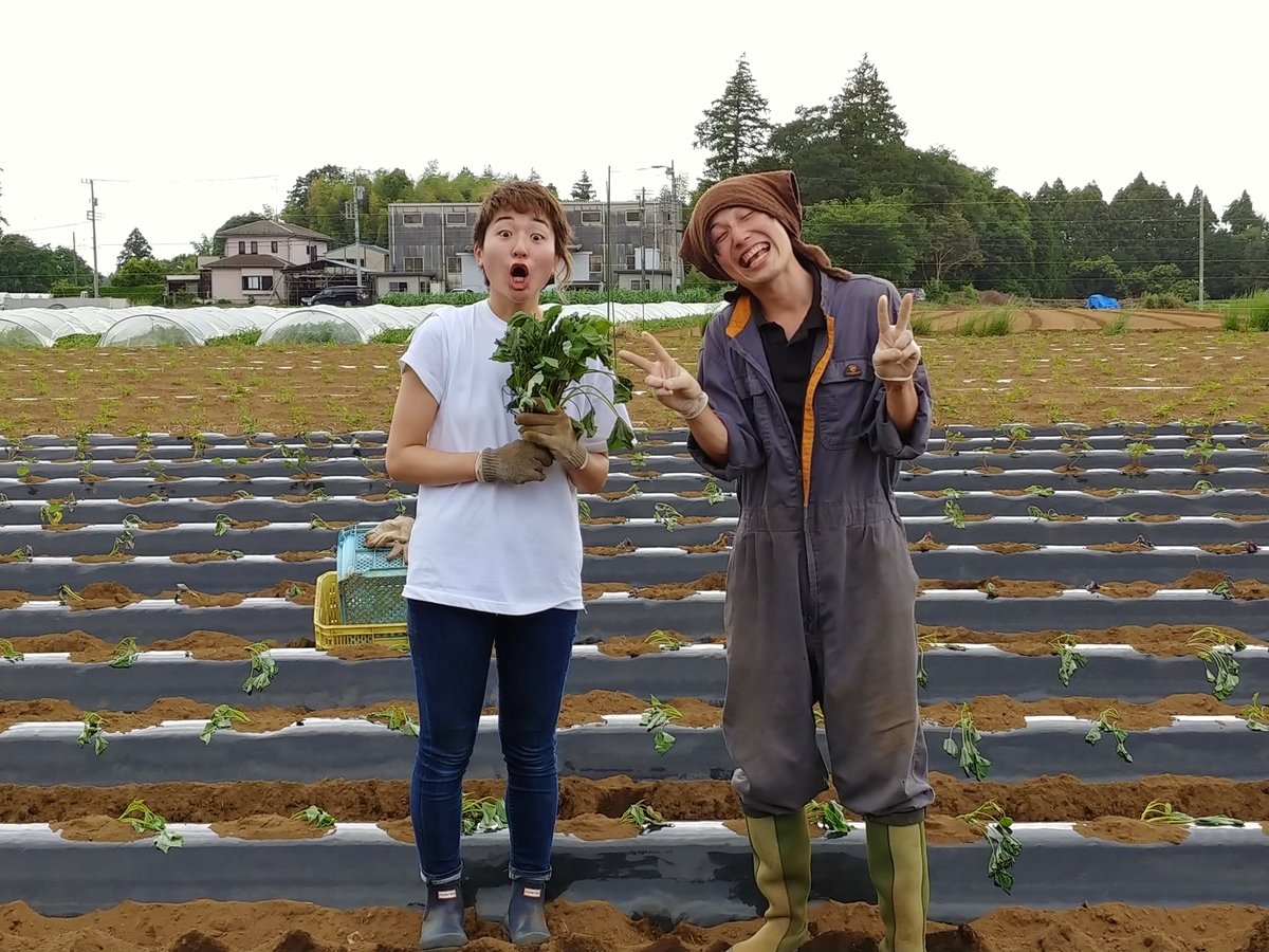 f:id:hov-agriculture:20190621125216j:plain