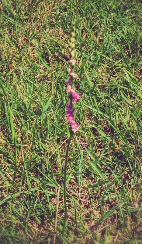 f:id:how-are-you:20140721124613j:image