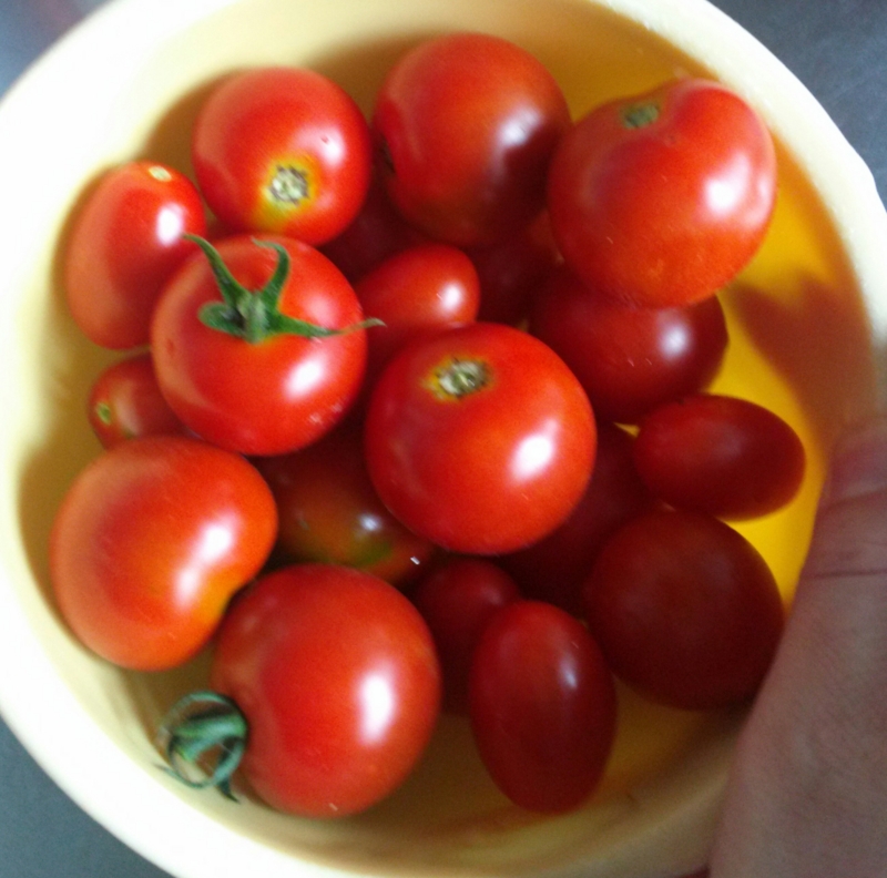f:id:how-are-you:20140821105614j:image