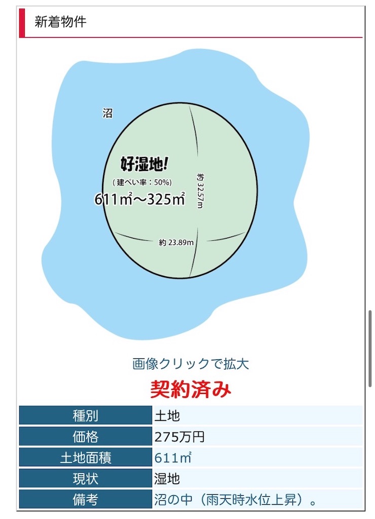 f:id:howahowa555:20240510102430j:image f:id:howahowa555:20240510102430j:image