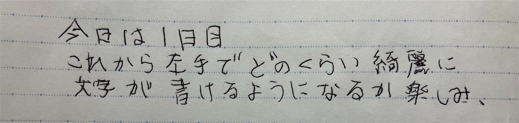f:id:howahowa555:20240619093812j:image