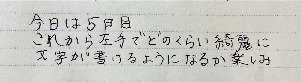 f:id:howahowa555:20240623075410j:image