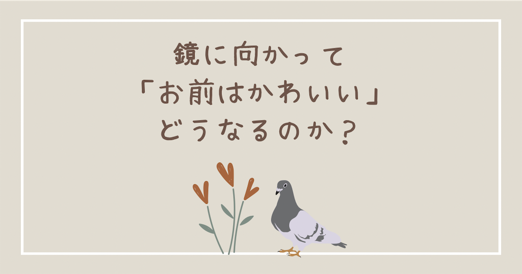 f:id:howahowa555:20250406104513p:image