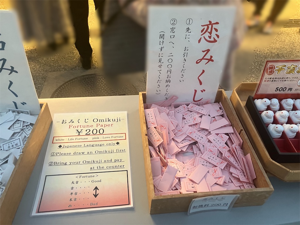 f:id:howahowa555:20260207111226j:image f:id:howahowa555:20260207111226j:image