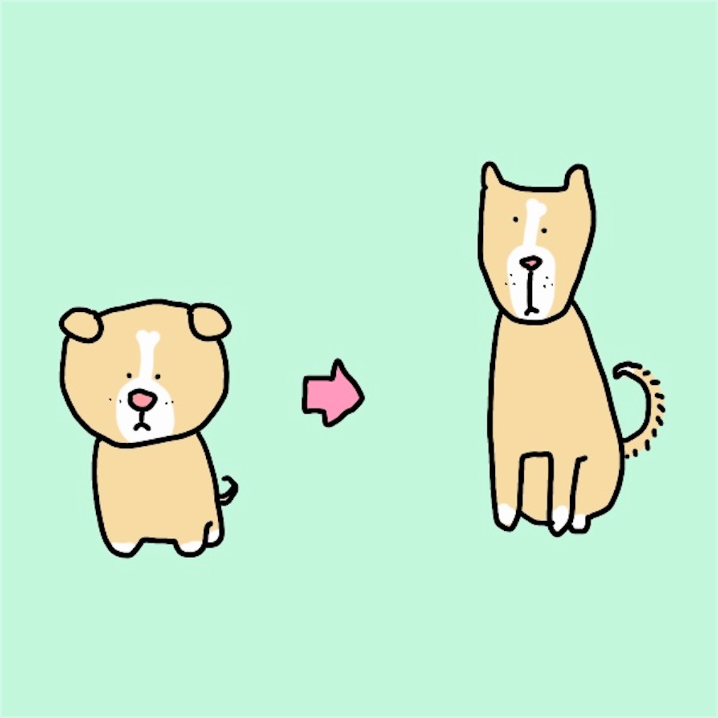 f:id:howawan:20210508200731j:image