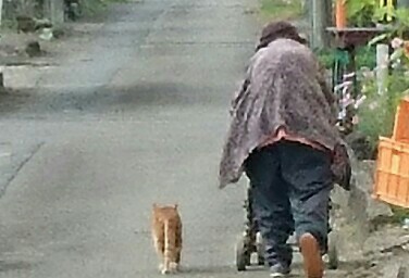 f:id:however-down:20180503121456j:image f:id:however-down:20180503121456j:image