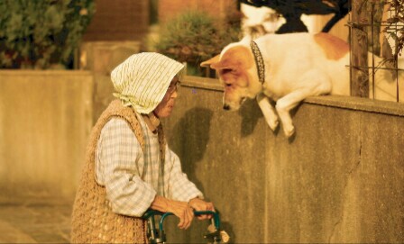 f:id:however-down:20180527110155j:image f:id:however-down:20180527110155j:image