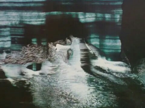 f:id:however-down:20181219012748j:image