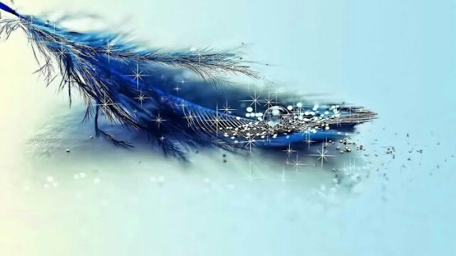 f:id:however-down:20190405011020j:image