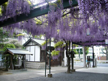 f:id:however-down:20190430084155j:image