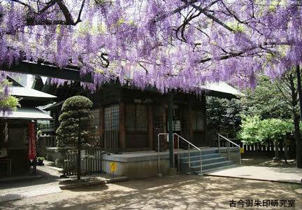 f:id:however-down:20190430091655j:image