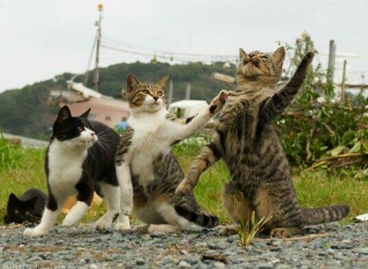 f:id:however-down:20200130012845j:image