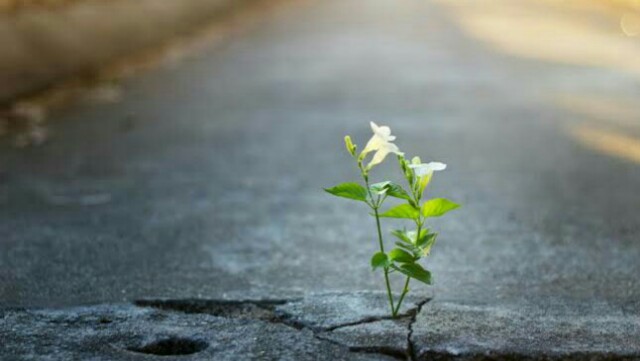f:id:however-down:20200221000222j:image f:id:however-down:20200221000222j:image