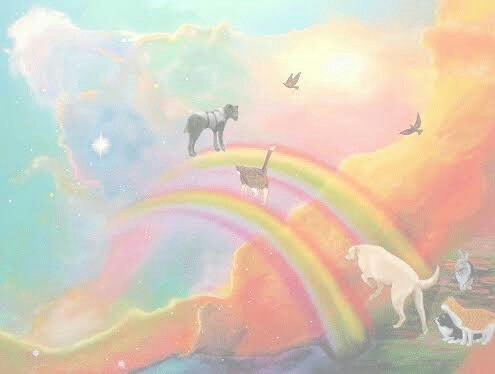 f:id:however-down:20200512062410j:image f:id:however-down:20200512062410j:image