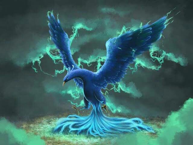f:id:however-down:20201202223225j:image