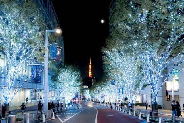 f:id:however-down:20201213085546j:image