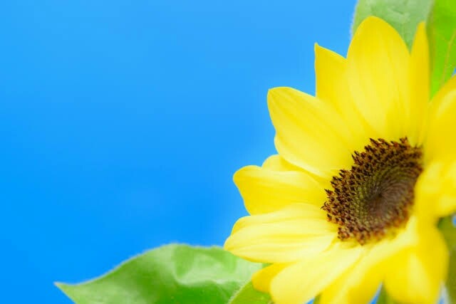 f:id:however-down:20201214065636j:image f:id:however-down:20201214065636j:image