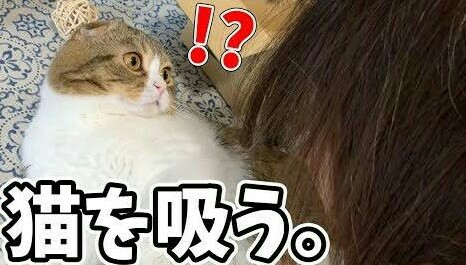 f:id:however-down:20210221234507j:image