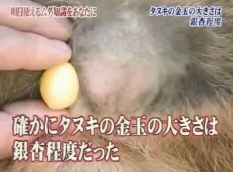 f:id:however-down:20210329233338j:image