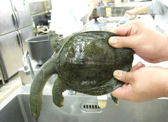 f:id:however-down:20211012004314j:image f:id:however-down:20211012004314j:image