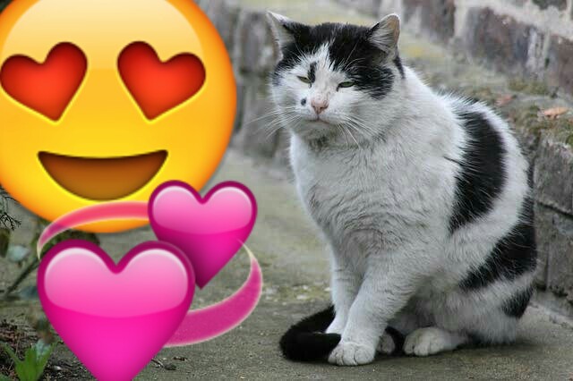 f:id:however-down:20220217064705j:image