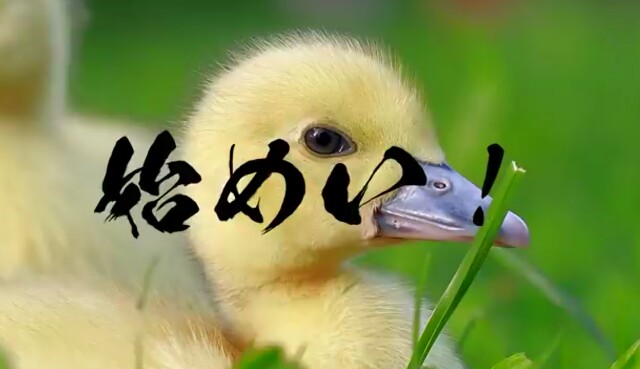f:id:however-down:20220219095329j:image