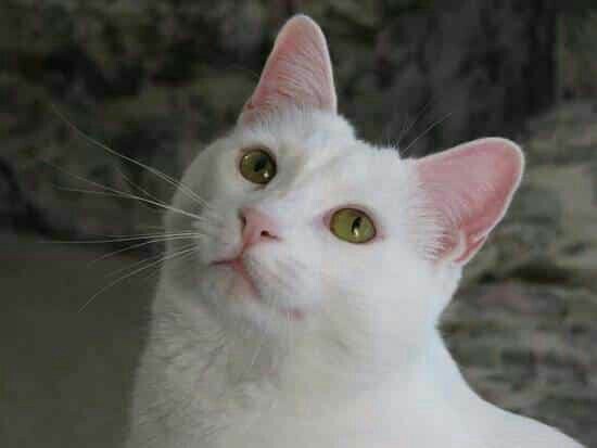 f:id:however-down:20220221001926j:image
