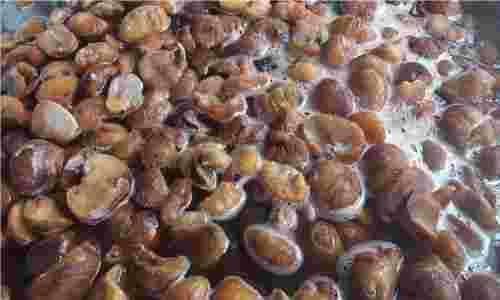 f:id:however-down:20220905081738j:image f:id:however-down:20220905081738j:image