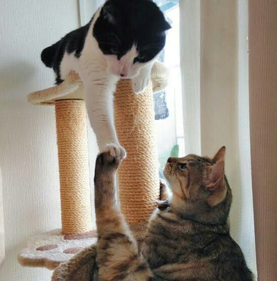 f:id:however-down:20230326120235j:image f:id:however-down:20230326120235j:image