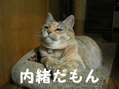f:id:however-down:20230406071140j:image f:id:however-down:20230406071140j:image