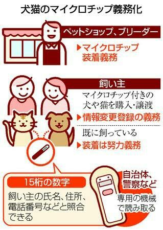 f:id:however-down:20230418232349j:image