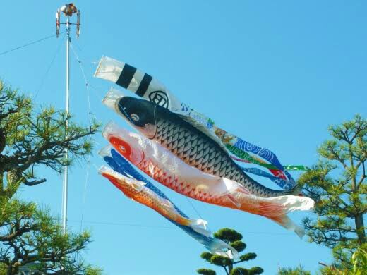 f:id:however-down:20230430111652j:image