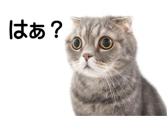 f:id:however-down:20230519012210j:image