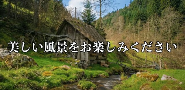 f:id:however-down:20230615000516j:image