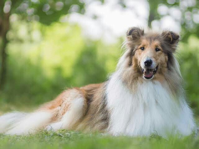 f:id:however-down:20230723090646j:image