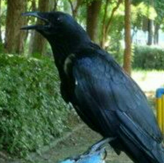f:id:however-down:20230805012935j:image f:id:however-down:20230805012935j:image