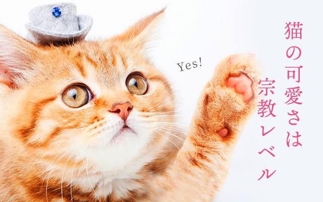 f:id:however-down:20230910202737j:image f:id:however-down:20230910202737j:image