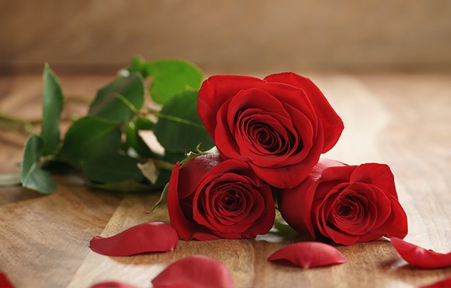 f:id:however-down:20231107162441j:image