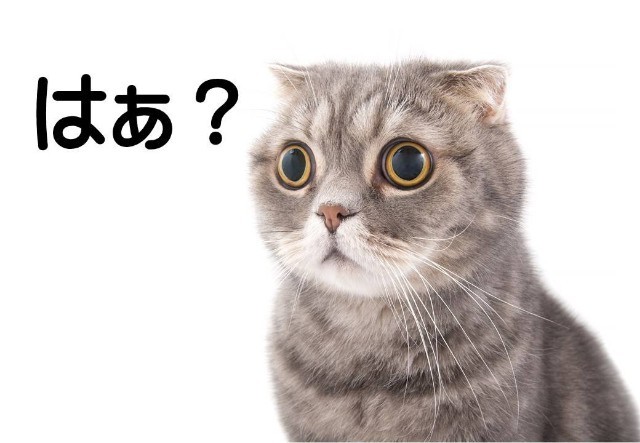 f:id:however-down:20231226222245j:image