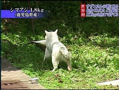 f:id:however-down:20240107093157j:image